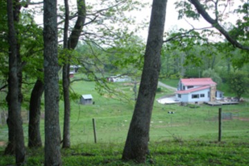 Saddle Up Farm - Click for More Info